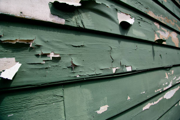 Best Moving and Downsizing Cleanouts  in Worcester, MA